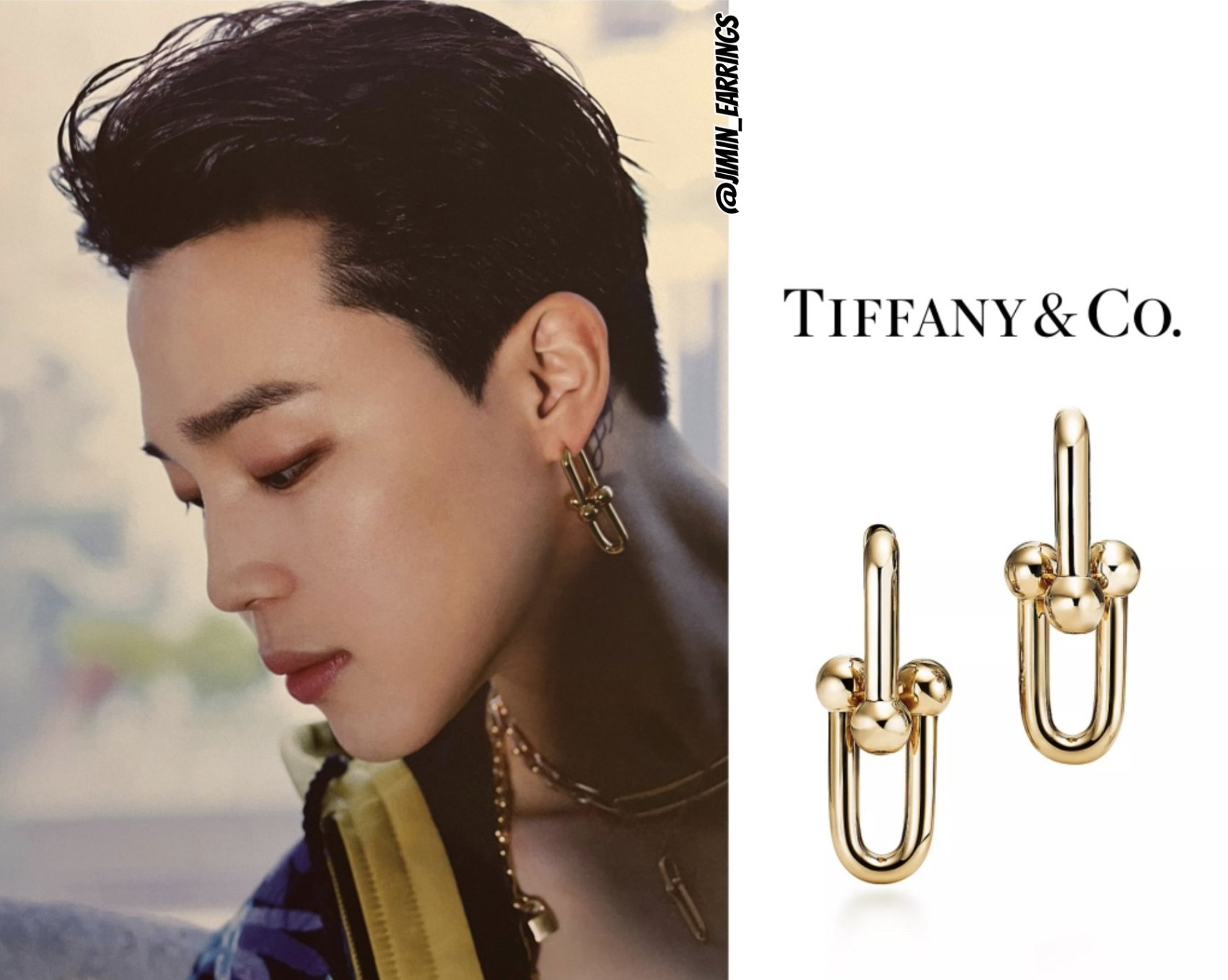 Tiffany hardwear shop link earrings