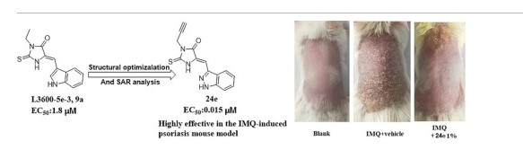 New class of AHR agonists with anti-psoriasis activity in a mouse model
#MedChem #customsynthesis #synthesisofsmallmolecules #drugdiscovery #processdevelopment #FTE #chemistryservices #CDMO #API #Pharma #ADC #PROTACs

sciencedirect.com/science/articl…