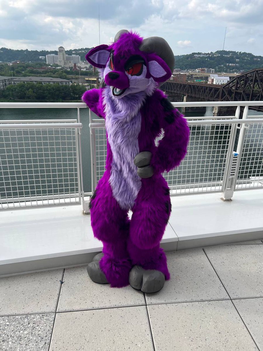 Chloe@🐎🏫 tweet media