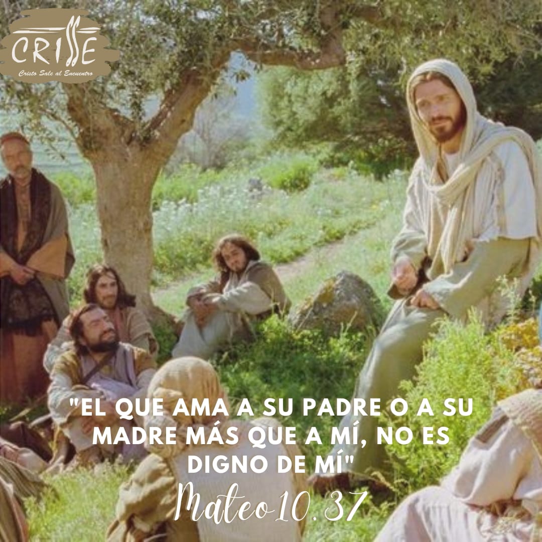 CrCrisse's tweet photo. EVANGELIO DE HOY 💬✝️
Jesús nos enseña que el amor a Dios debe estar por encima de toda relación personal, así, el amor entre nuestros semejantes puede ser fructífero. El compromiso y nuestra fe deben ser fuertes, cargando nuestra cruz para que haya amor verdadero 🤍. https://t.co/N5quN2iikp