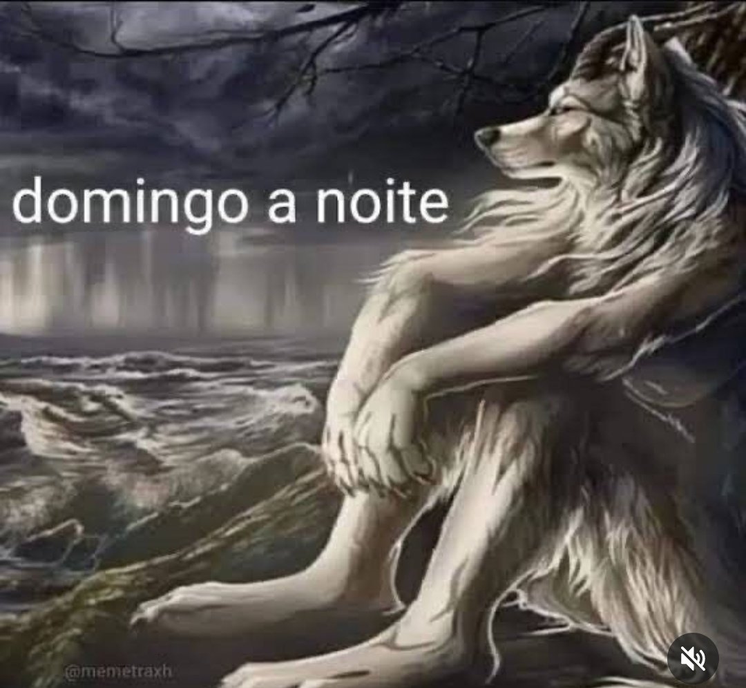 Shitpost só que de verdade (@shitpostverdade) on Twitter photo 