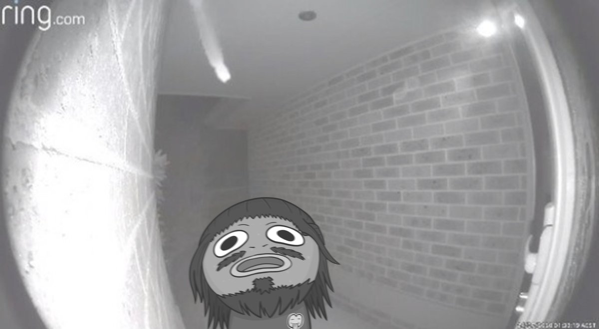drawnbyj0hnny's tweet photo. POV: frog rings your doorbell at 2am https://t.co/Xf5vZAXa9n