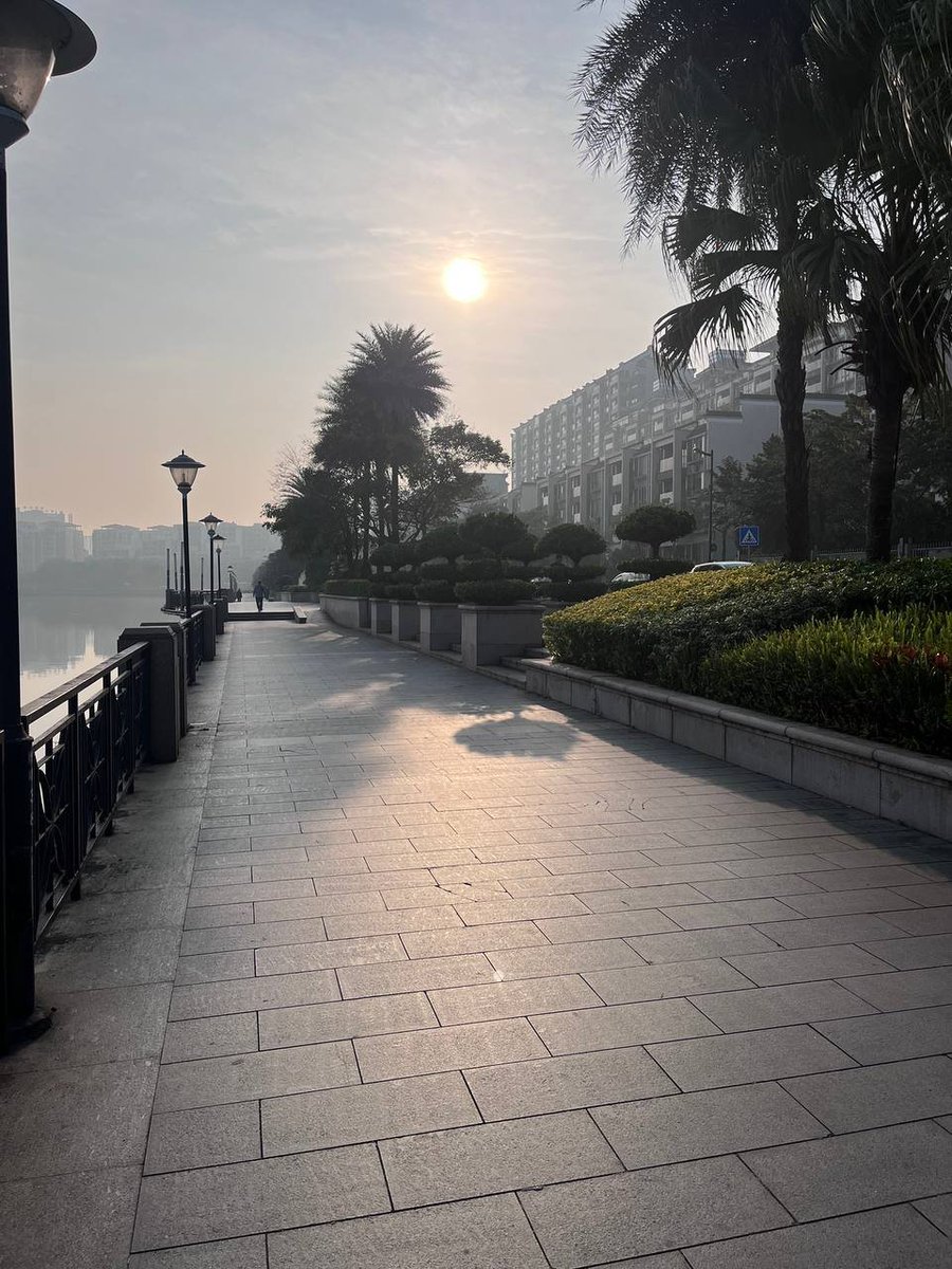 vicky_babyy's tweet photo. Take a walk with the sun shining🤔 https://t.co/T7glC1OZ6a