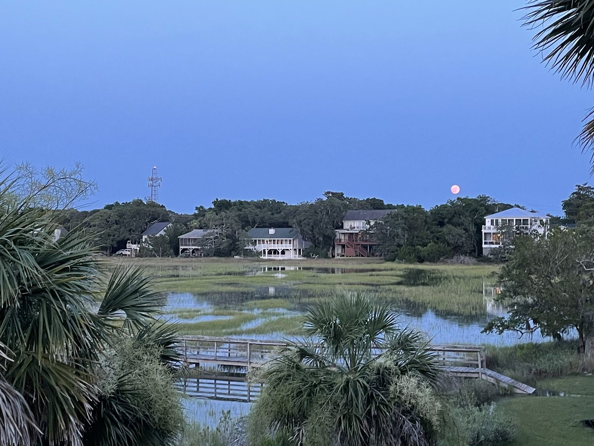 #chswx moon & tide ☺️