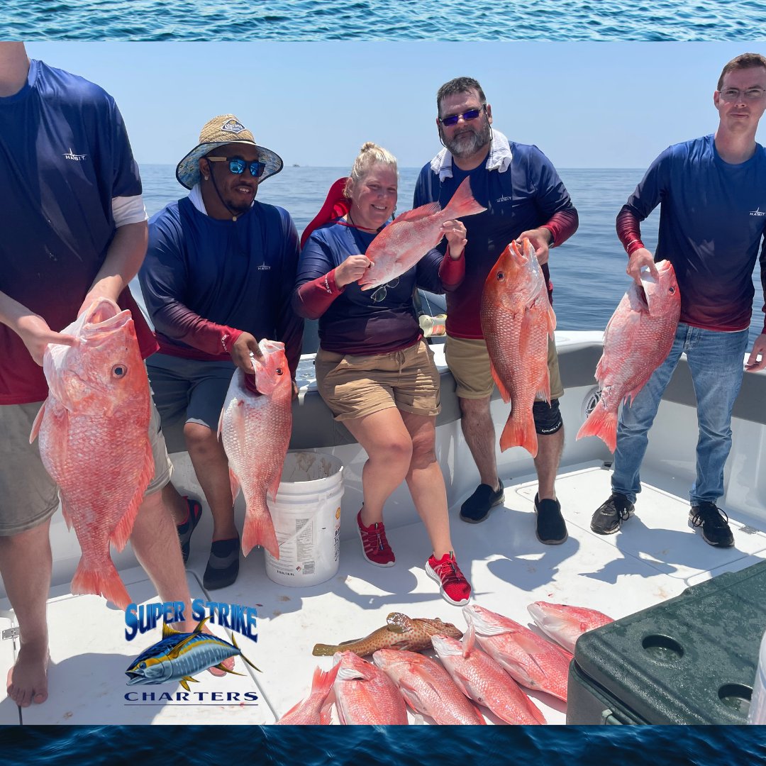 DPMSSC's tweet photo. Who's bringing in 18 red snpper, 2 almaco jacks, and a strawberry grouper? Captain Bob and the Brown group that's who!
#fishing #Louisiana #redsnapper #fourthofjuly #july4th #4thofjuly #almacojack #strawberrygrouper #saltwaterfishing #fish #superstrikefishingcharter https://t.co/J1nXmfa5p4