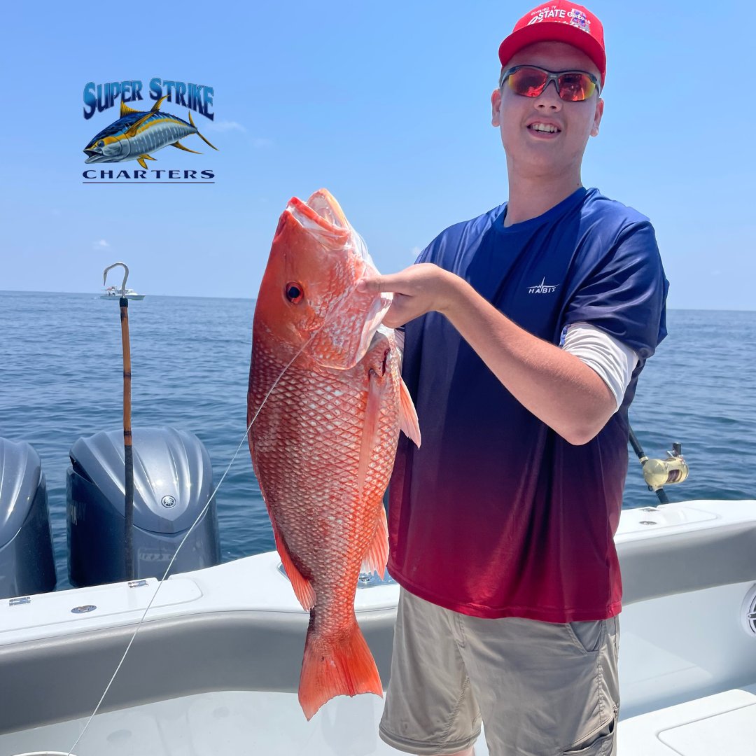 DPMSSC's tweet photo. Who's bringing in 18 red snpper, 2 almaco jacks, and a strawberry grouper? Captain Bob and the Brown group that's who!
#fishing #Louisiana #redsnapper #fourthofjuly #july4th #4thofjuly #almacojack #strawberrygrouper #saltwaterfishing #fish #superstrikefishingcharter https://t.co/J1nXmfa5p4
