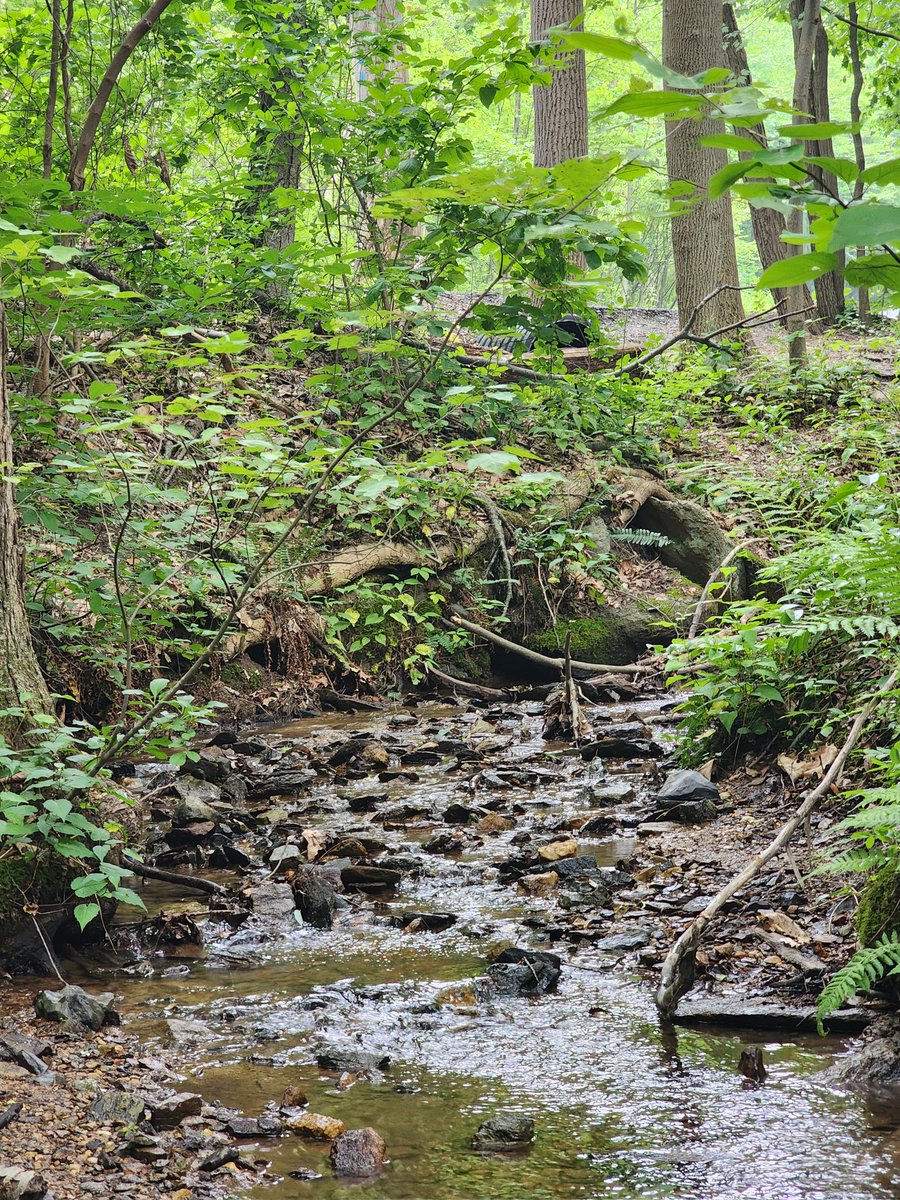 AlienEnergy 111 👽 ✨🔮Daveeda ♎️🎨📸 tweet media