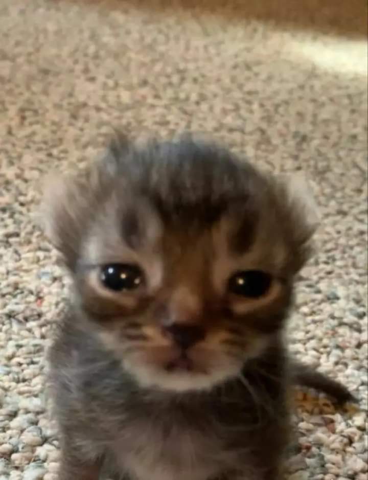 anyxne's tweet photo. yo y los que volvieron a recaer https://t.co/Ox9cUMsjYi