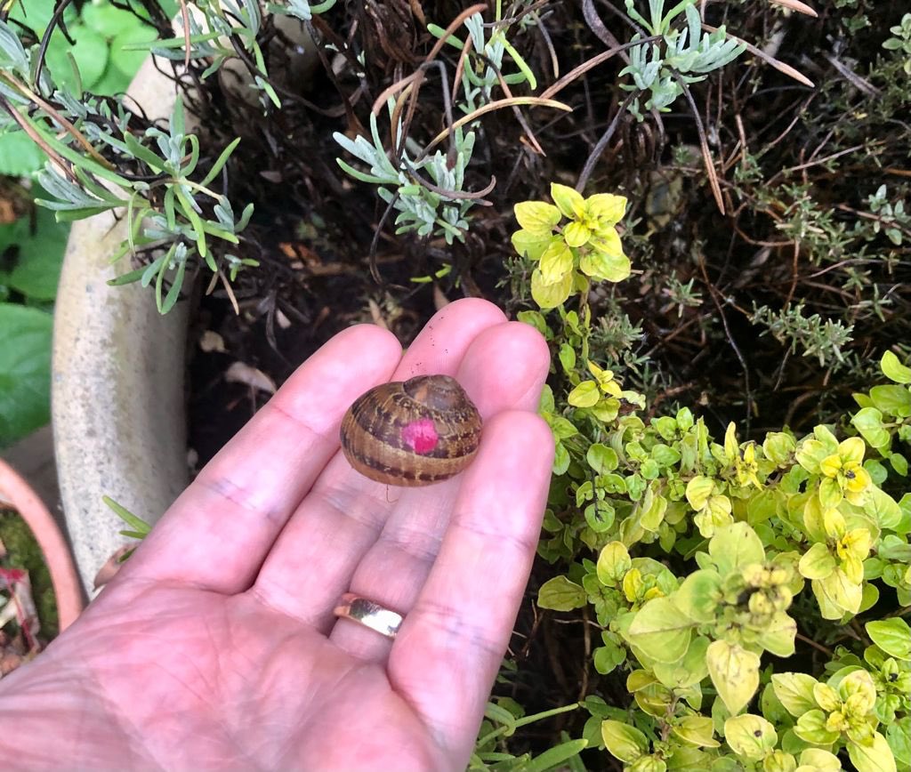 Andrew Gillis tweet media