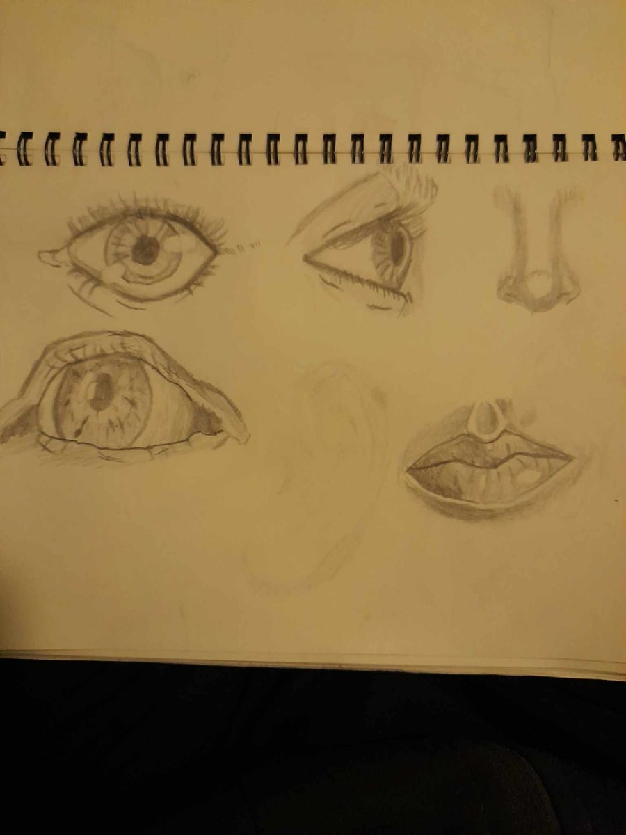 samwyse19's tweet photo. drawings of facial features 

#drawing #pencil #shading #art #artist #eyes #mouth #nose #sketchbook #facial #features https://t.co/nRAg1E6r5c