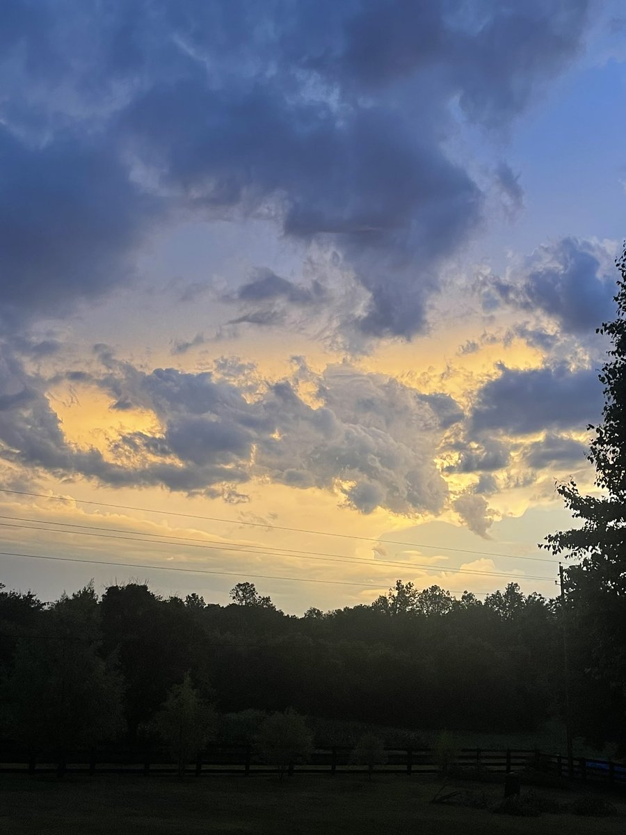 George Shunnara tweet media