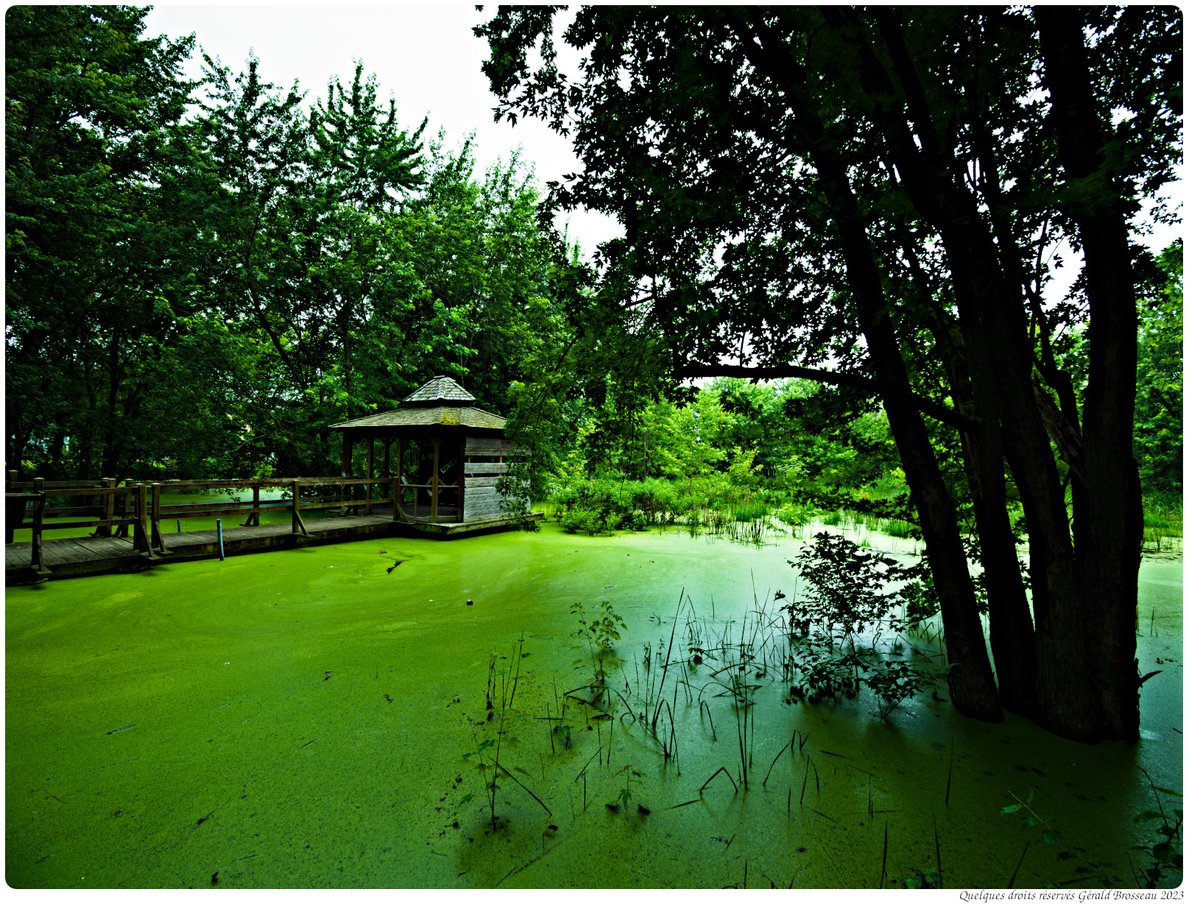 Gerald Brosseau tweet media