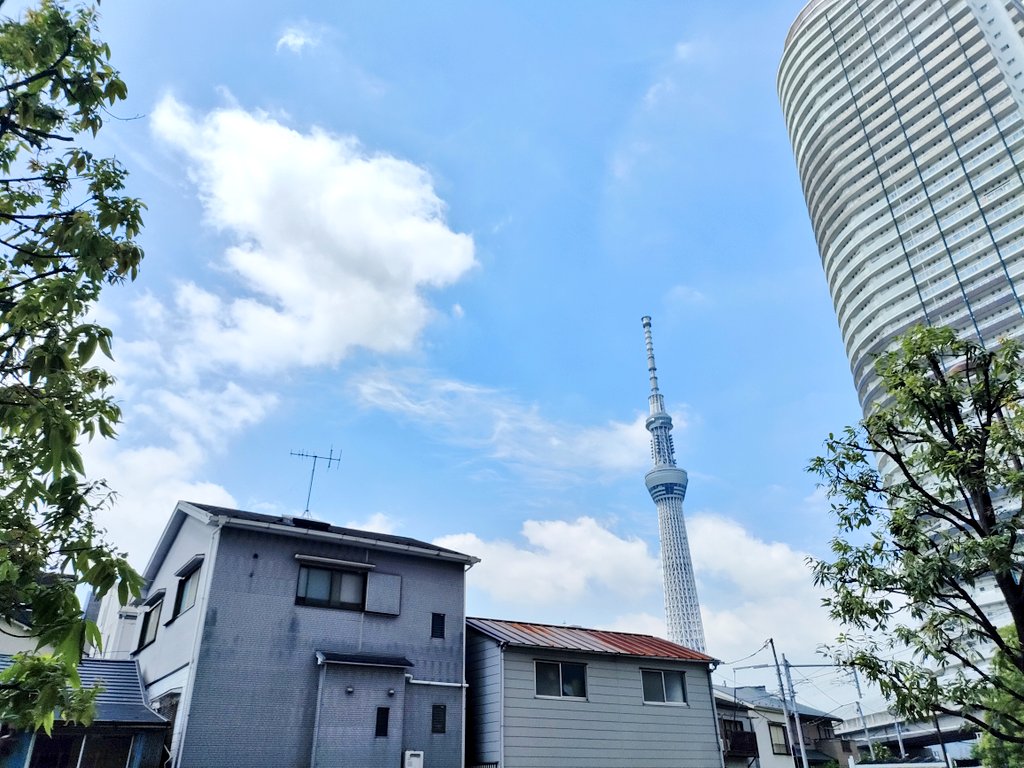 おはようございます！現在の墨田区は晴れ☀気温は29.2℃
少し雲が出てきましたが、良い天気です😊今日もすでに暑いですが、一日頑張りましょう！
本日は10:00~21:00で営業しております☕
#東京 #墨田区 #イマソラ 
#企業公式が毎朝地元の天気を言いあう 
#がんばろう企業公式@