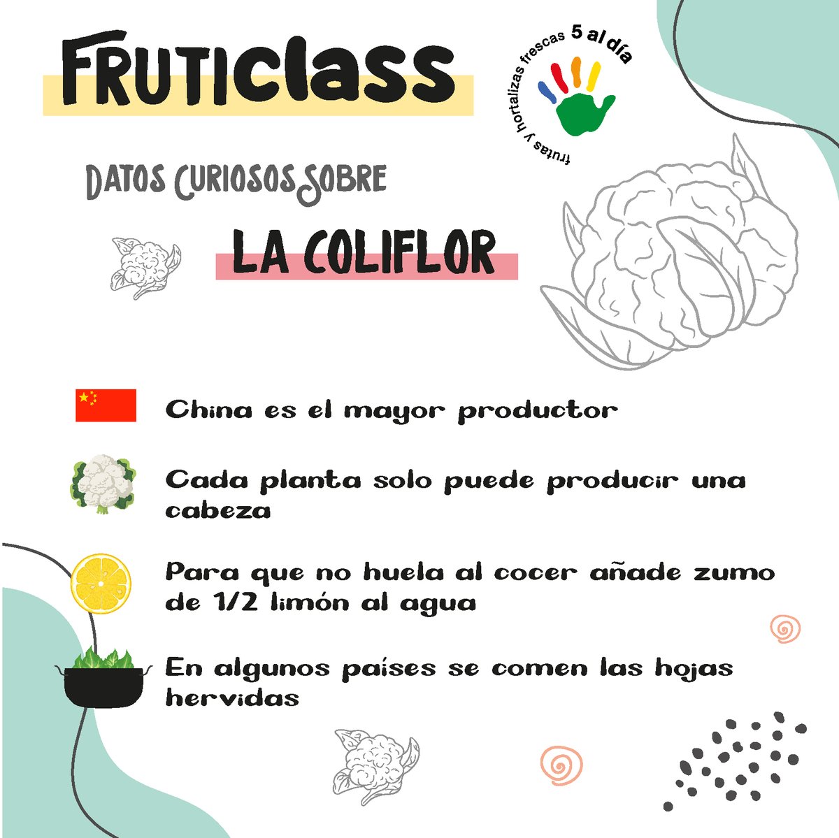 Comenzamos la semana con nuestra sección de #Fruticlass 🧐poniéndote a prueba con tus conocimientos de la #coliflor, deliciosa #hortaliza de la familia de #inflorencencias  👇

#Fruticlass #Infórmatecon5aldía #Practicael5