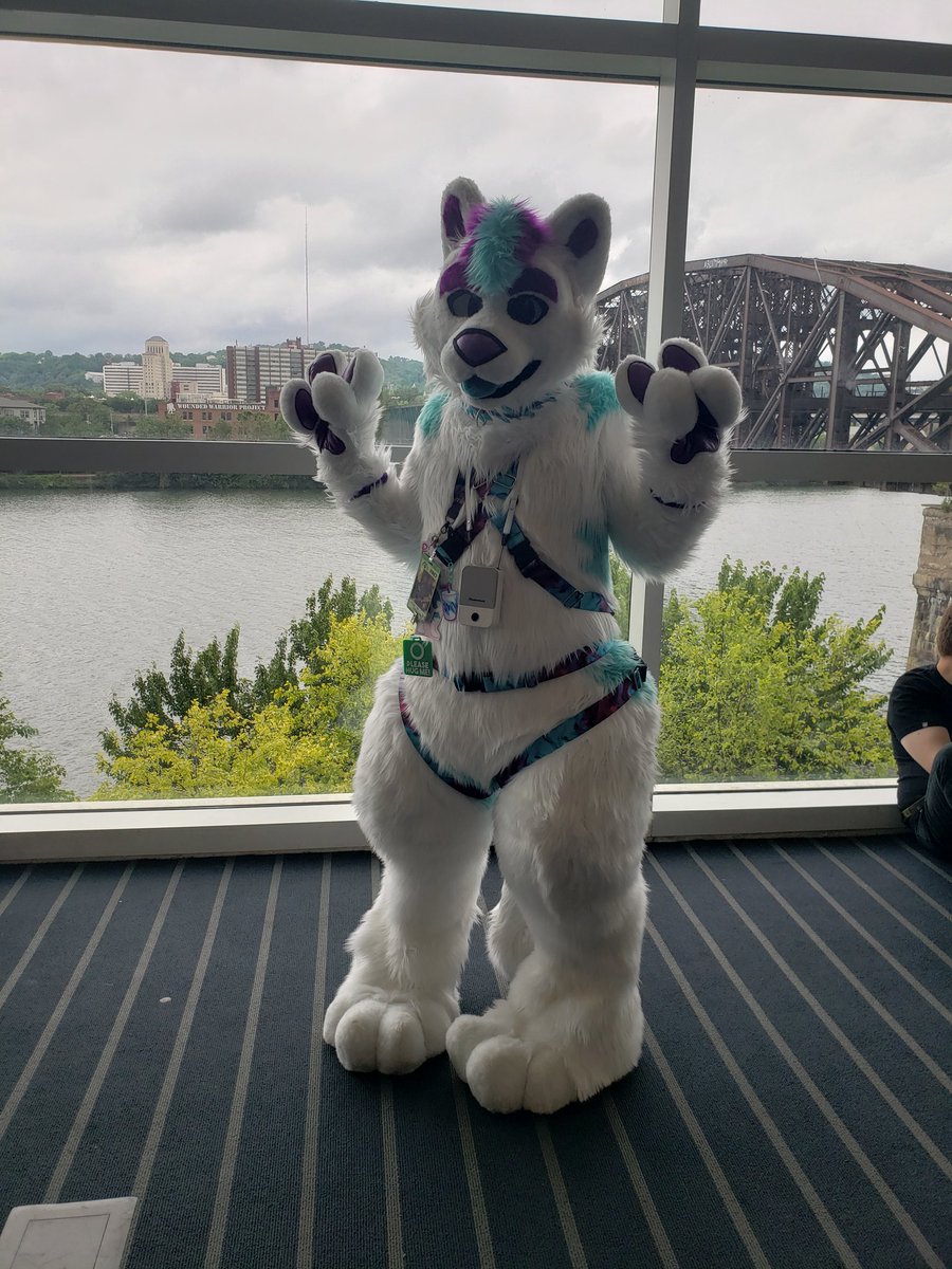 Loy_Otterton's tweet photo. My kibby @DespOwOS being adorable at #anthrocon2023 https://t.co/mKHkIwQ8fL
