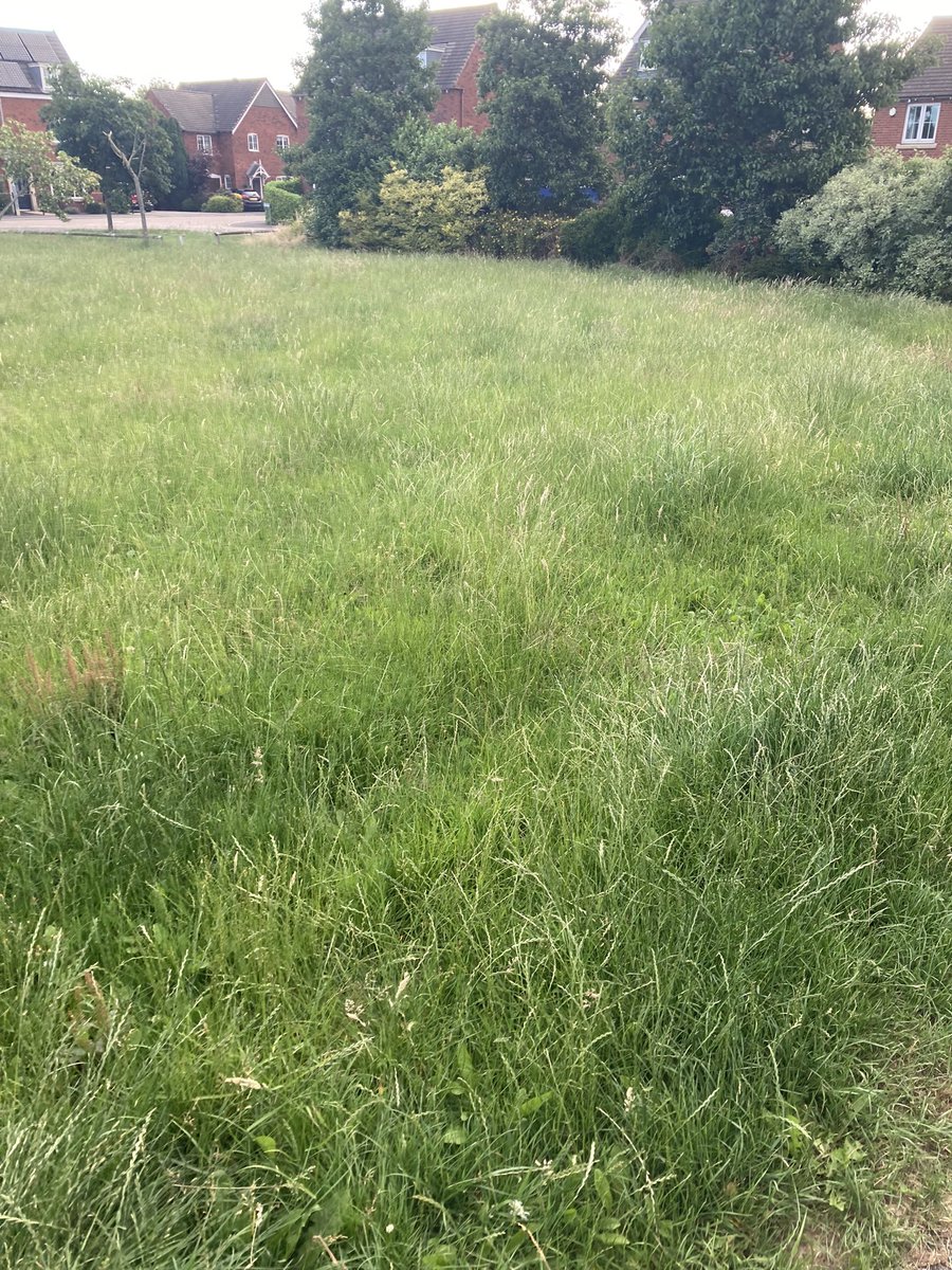 Mike Scott tweet media