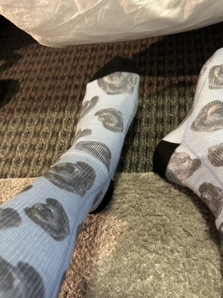 cory_kowitz's tweet photo. Yes, that is my dog on my socks. 🐶
#dogsocks https://t.co/OGcyQQtm9Z