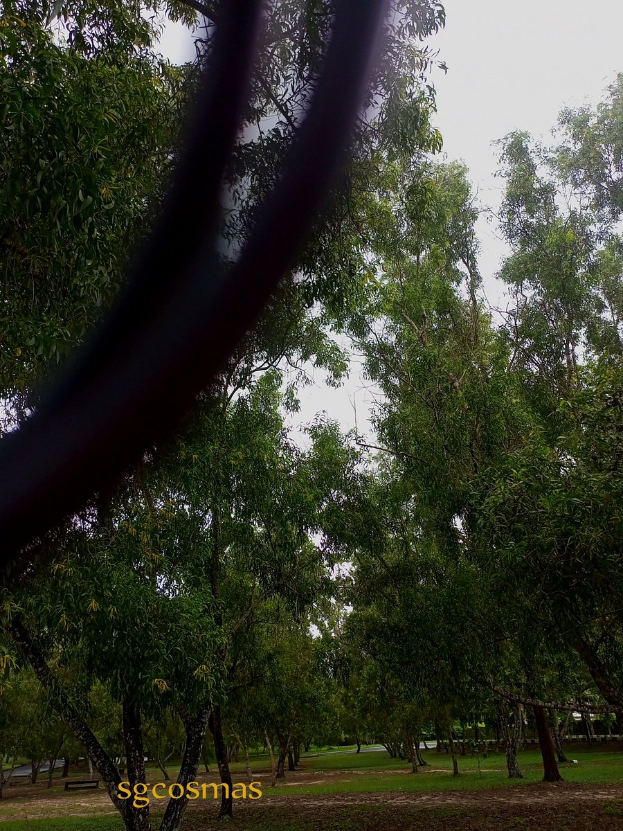 sgcosmas's tweet image. Morning view 🤎

Shot with @InfinixNigeria 

 #infinix #infinixnote #infinixnote10 #viral #viralpost #trend