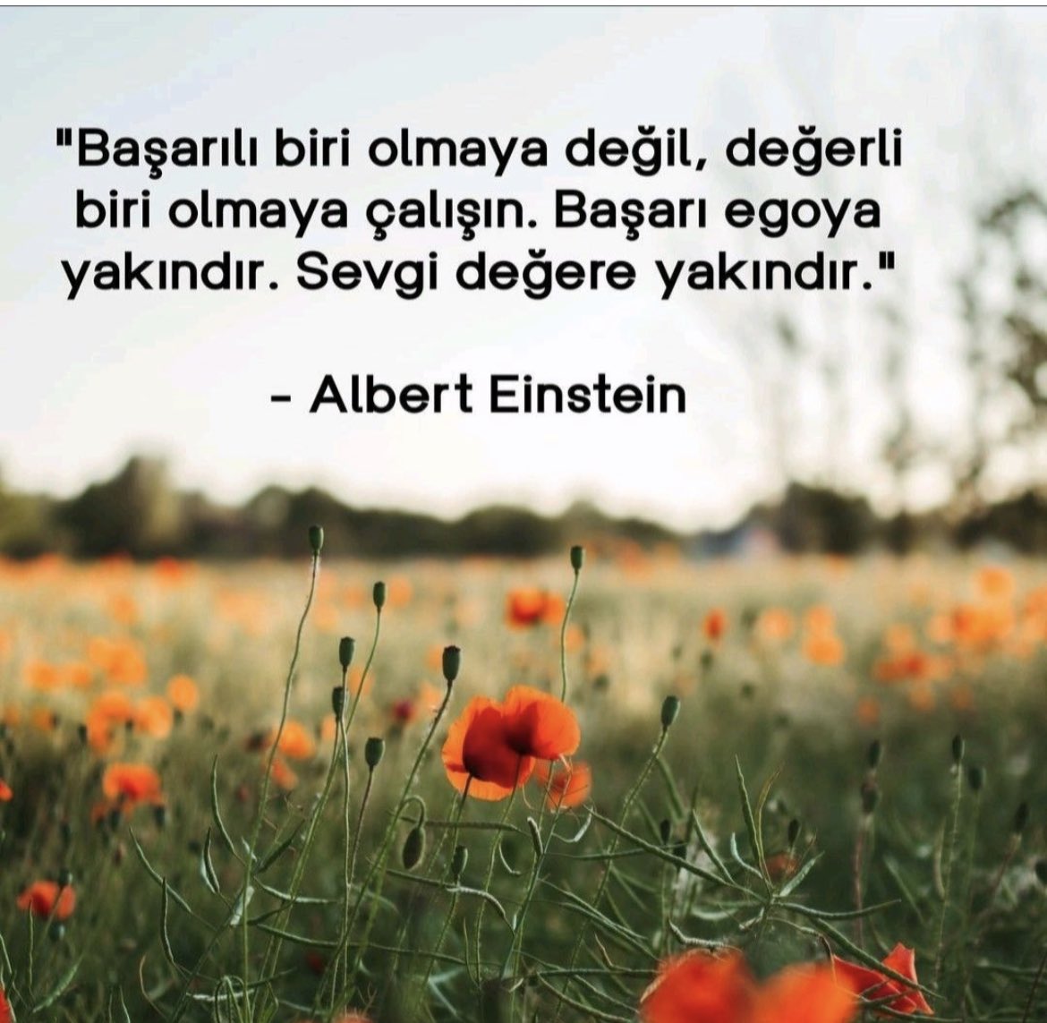 HSYNYLMZ's tweet photo. Günün sözü : https://t.co/JwmTdQr6NS