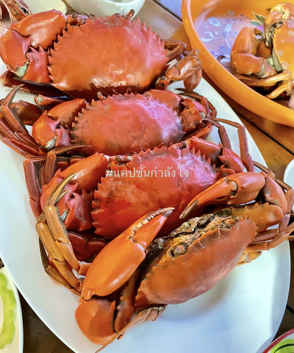 แคร์คนให้น้อยลง..ตั้งใจทำงานหาเงิน..เพราะชีวิตเราขับเคลื่อนด้วยเงิน..ไม่ได้ขับเคลื่อนด้วยคำนินทา..เดือดร้อนอะไรมาคนนินทาก็ไม่ได้ช่วยอะไร👍😏

Cr.เพจ: ฮีลใจ
#แคปชั่นกำลังใจ #แคปชั่นโดนใจ  #แคปชั่นเด็ด #คำคมชีวิต #ชีวิตคิดบวก #คิดบวก #แคปชั่นความสุข #คำคม #ข้อคิดดีๆ #ความรู้สึก