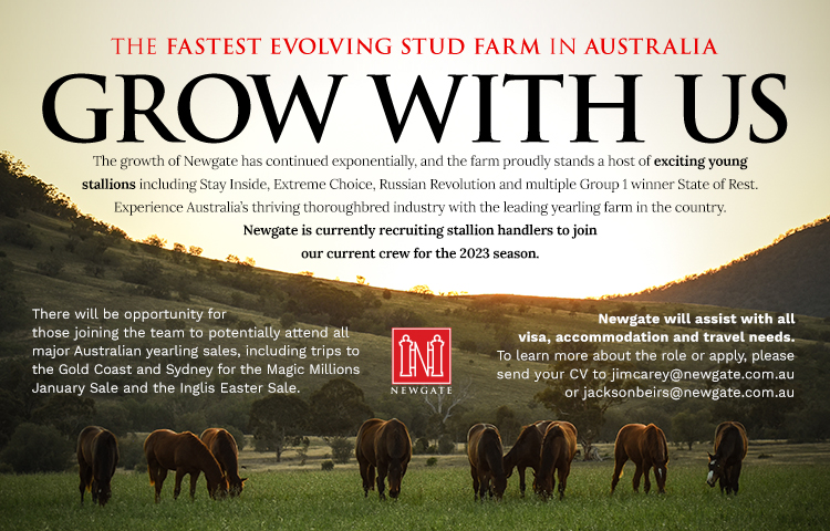 🚨Newgate is currently recruiting STALLION HANDLERS to join the team for the 2023 breeding season!

To learn more about the role or to apply, please send your CV to jimcarey@newgate.com.au or jacksonbeirs@newgate.com.au

#ItsPossible