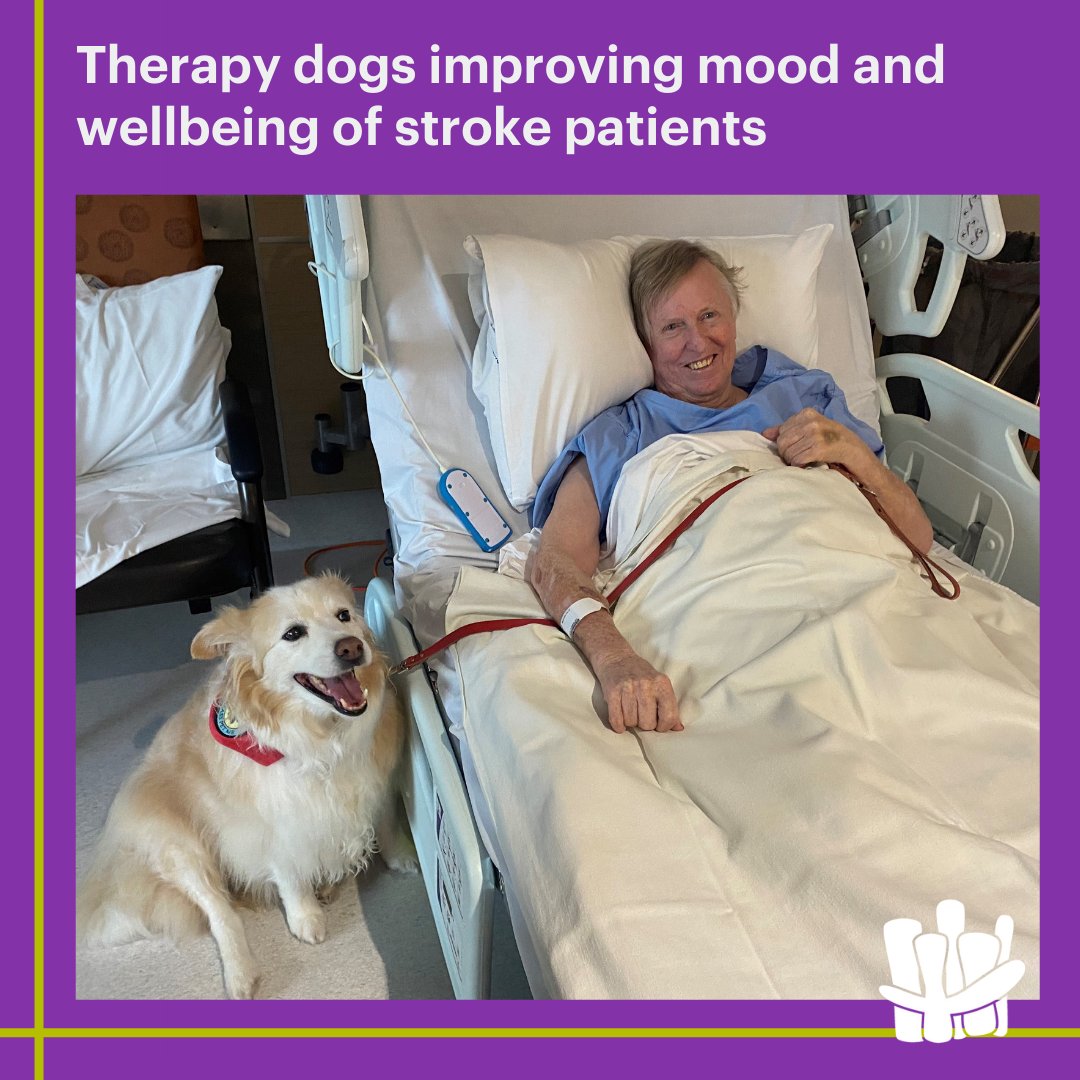 Aw we love our pooches! Trained therapy dogs are visiting the RAH Stroke Ward in new research to improve the mood & wellbeing of stroke patients 🥰 like Dermot (pictured) with border collie Sueki. Thanks to our supporters for making this possible! ow.ly/OEZz50P2fpL