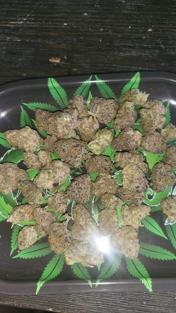 WriteWeed's tweet photo. Georgia Pie #PuffPuffPass #StonerFam #CannabisCommunity  #CannabisCulture #WriteWeed https://t.co/Oj8i6ZZpBW