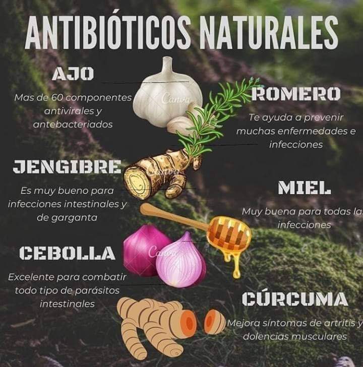 vibracosmos's tweet photo. Que nuestra Medicina sea nuestro Alimento, y que nuestro Alimento sea nuestra Medicina.

  Hipócrates de Cos https://t.co/PVIQl4bQrU