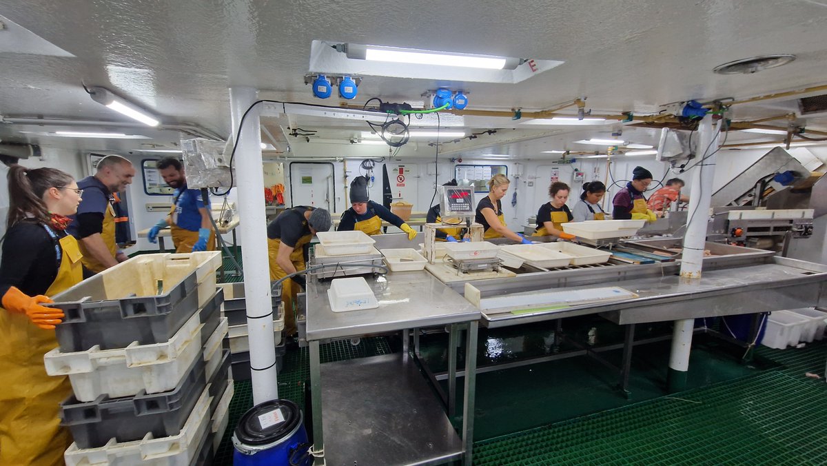 IEOVigo's tweet photo. 🐟🌊🚢El sábado terminó #ABordoIEO la campaña #Platuxa

En las fotos recogemos el último lance y la gente trabajando, así como la foto fin de campaña del equipo  científico en la proa del barco

Ahora toma el relevo la campaña #FlemishCap 

➕ℹ️https://t.co/Cxjojzh3Ue https://t.co/7xxndUc4nK