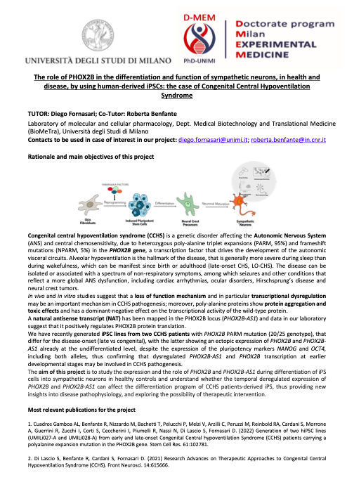 DMEM_PhDunimi's tweet photo. New research line of today!

MAIN TOPIC: "The role of PHOX2B in the differentiation and function of sympathetic neurons, in health and disease, by using human-derived iPSCs: the case of Congenital Central Hypoventilation Syndrome"

For details see 👇

📨diego.fornasari@unimi.it https://t.co/wXTHmfxTwb
