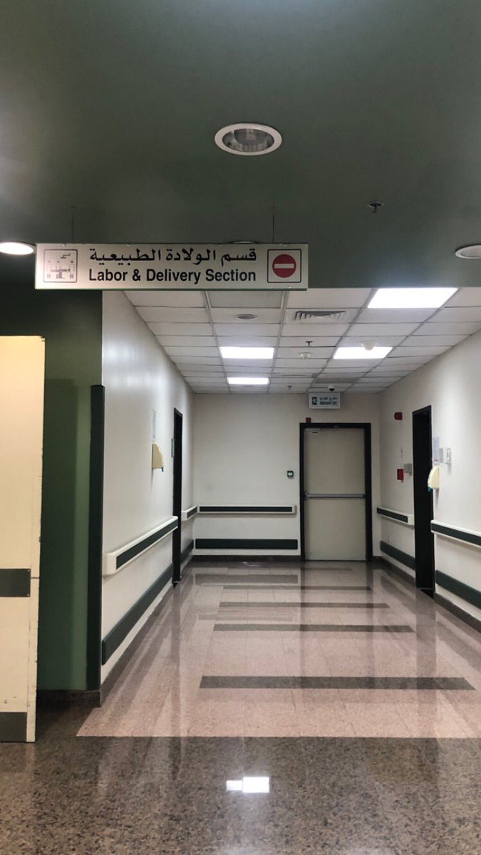 Sebaahmed__'s tweet photo. 2/7/2023 
First day of internship ✨

First night on-call is over 🕺🏻 https://t.co/bE8Yjne1Vo