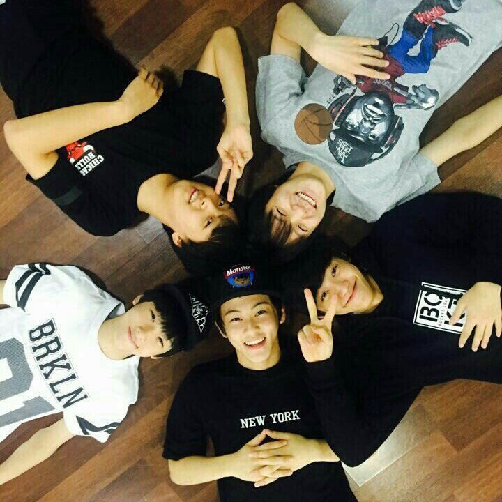 뺙지송 (hiatus) tweet media