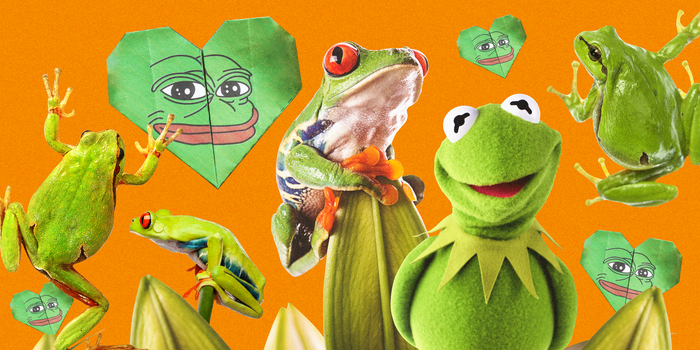 kekcoin_org's tweet photo. Kekk monday! Kekk together!

#KEKK $KEKK #JOSEANGEL #MEME #PEPE $KAS #WEB3 #ETH #ZK #ZERO #PUMP #NFT #MOON #PSYOP $BCH #Kucoin #CryptoTwitter https://t.co/l9OJ73dCMf
