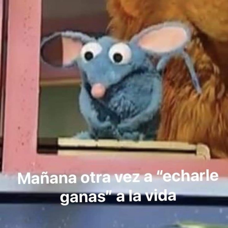 isThenis's tweet photo. Sentí que duró bien poquito mi fin de semana jajaja 🫠 https://t.co/3wtdUpDZYU