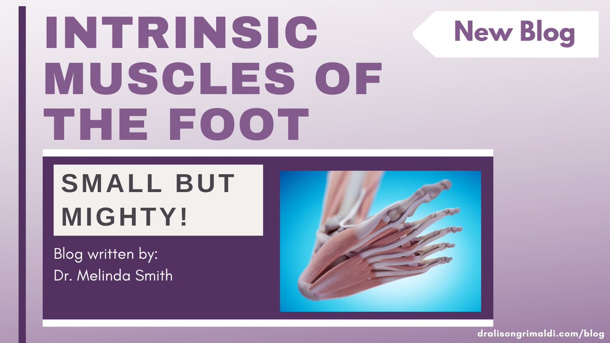 NEW BLOG by Dr Melinda Smith. Do you consider foot intrinsics when prescribing exercise for the foot &amp; ankle? This blog reviews their contribution to foot &amp; ankle function &amp; why these small &amp; mighty muscles should be considered in clinical practice.
LINK: dralisongrimaldi.com/blog/intrinsic…