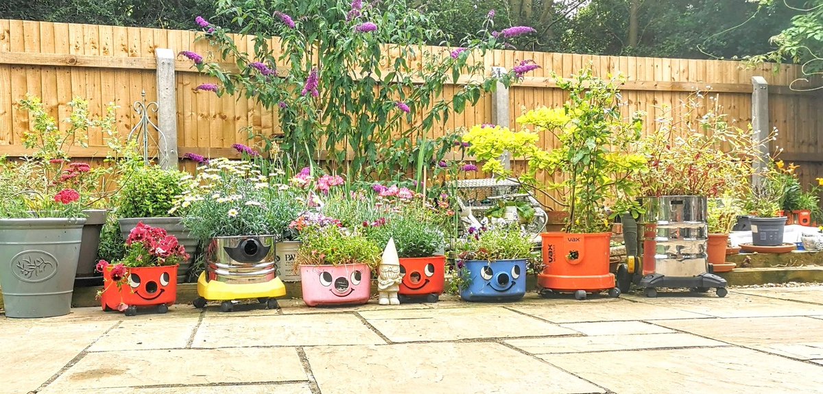 Always a sucker for something a bit different. #HenryHoover #VacuumCleaners #Garden #GardenersWorld #LoveYourGarden #PlantPots #JustOurGarden #Love #Flowers #Recycling #UpCycling #WellBeing #Nature #Gardening
