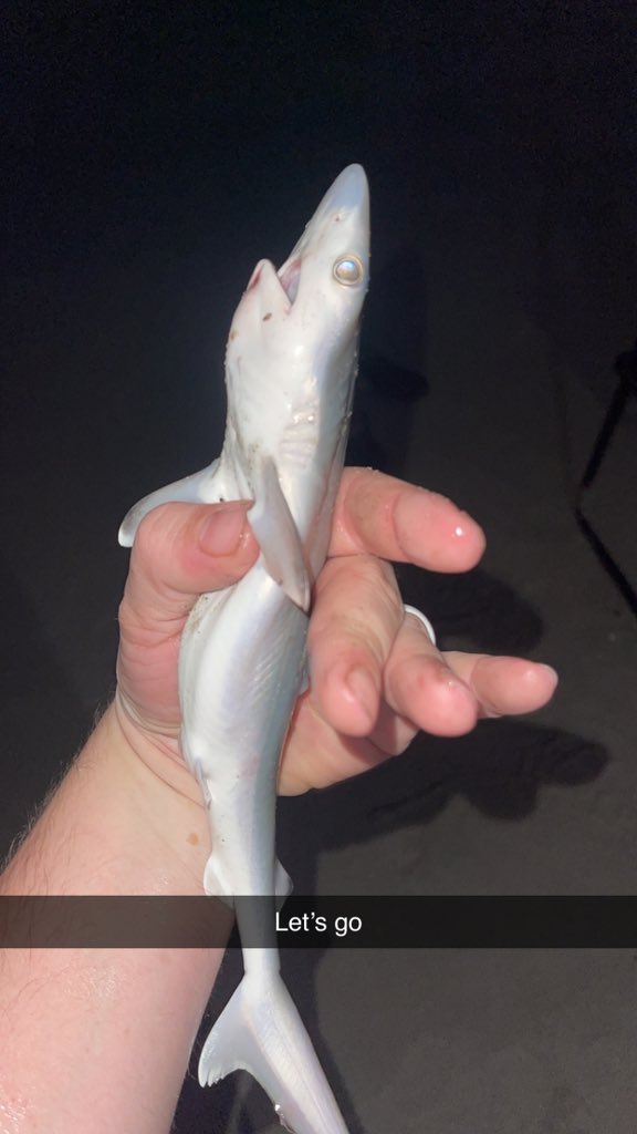 Ghost Markz tweet media