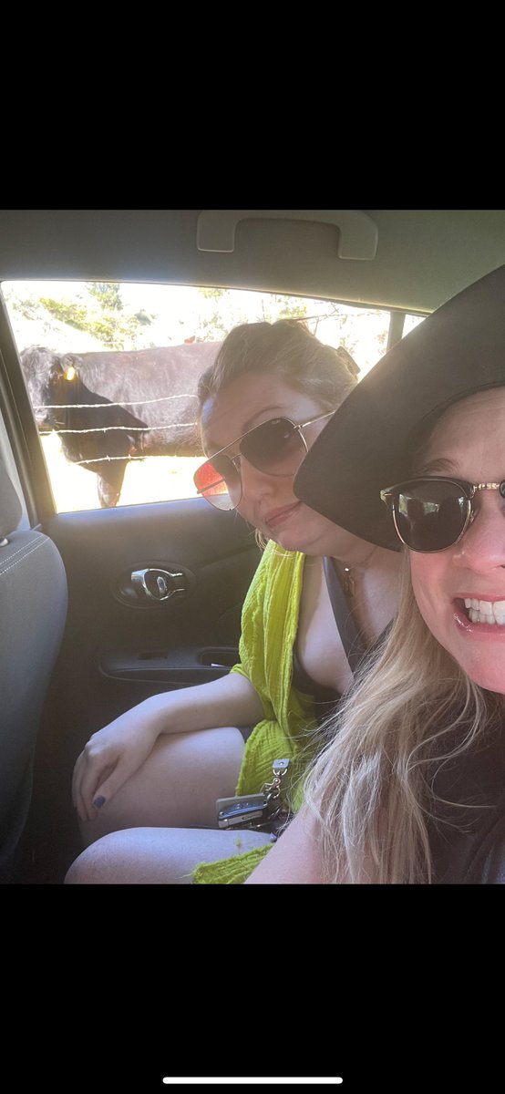 Ms Rockingchair tweet media