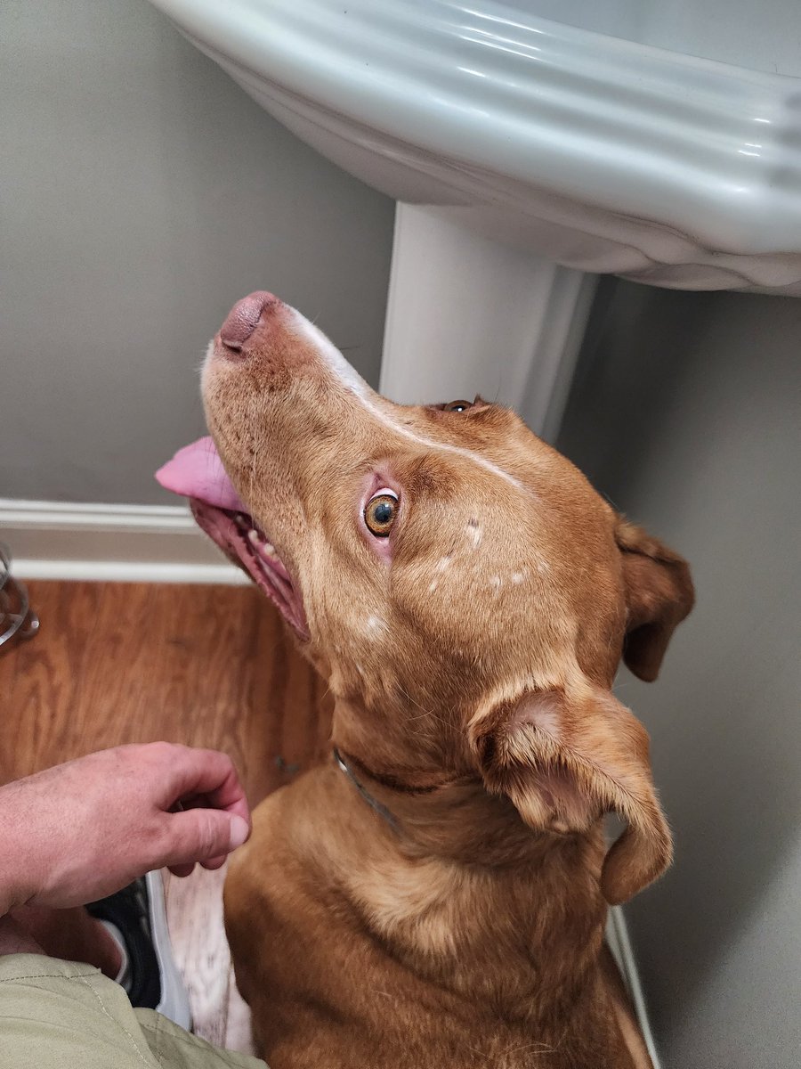 Ryan Clark - Cyber Recon tweet media