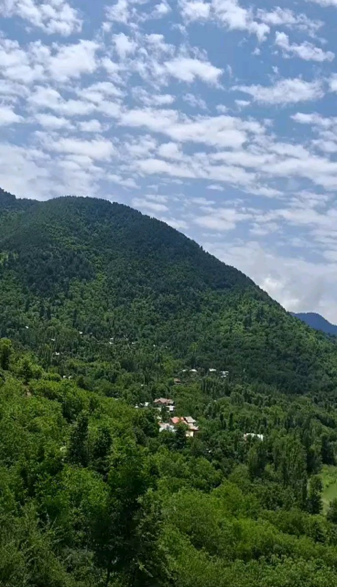 #Tral