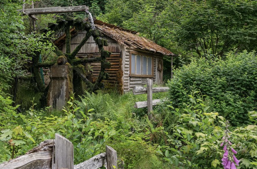 🌸Water wheels and beautiful fields 🌸