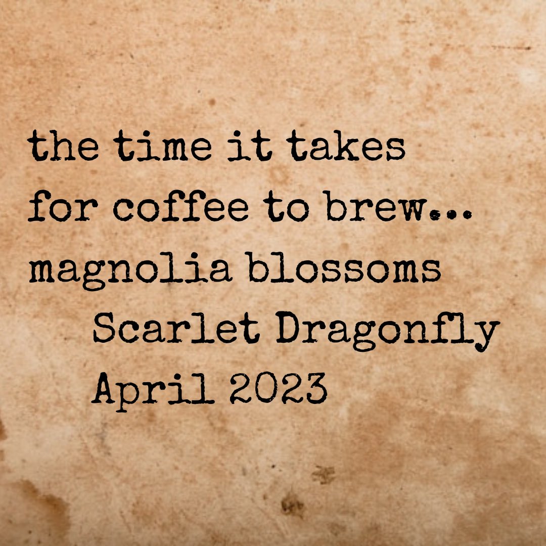 A less angry #haiku, and something more #gentle about #coffee and #magnolias. Thoughts?

#micropoetry #micropoem #poem #poems #naturepoetry #naturepoem #poetry #poetrycommunity #poetrylovers  #twitterhaiku #haikugram #haikupoetry #haikuoftwitter