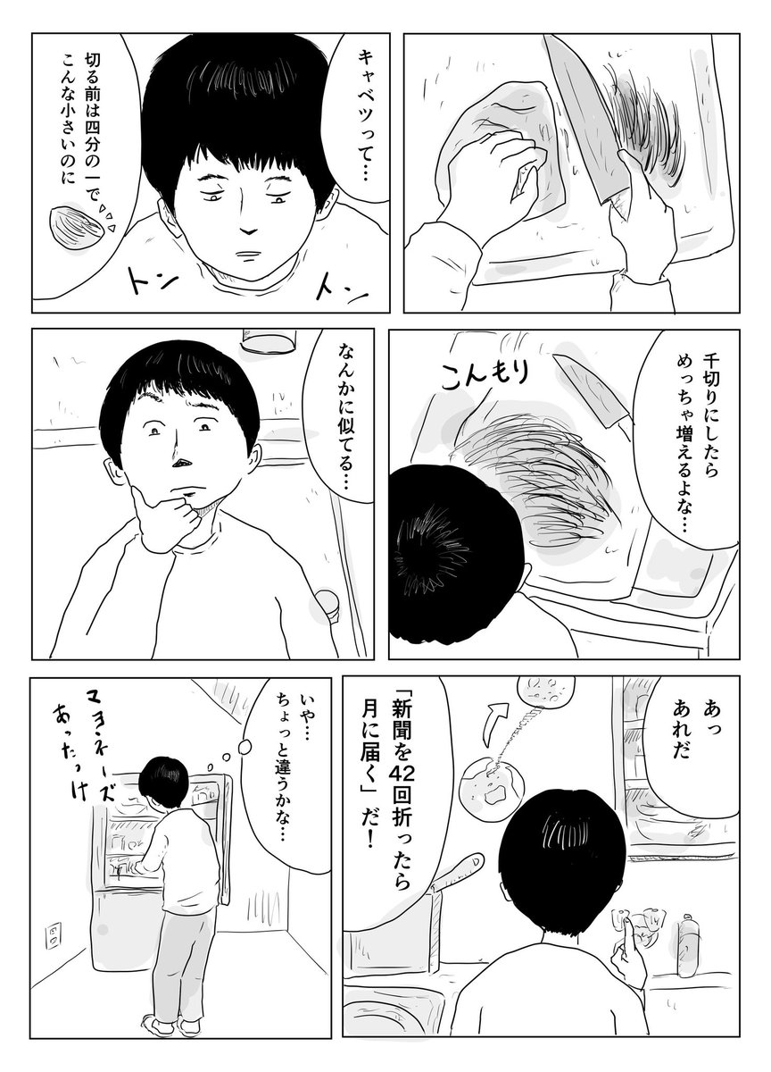 キャベツの千切り https://t.co/M403RdHYDR
