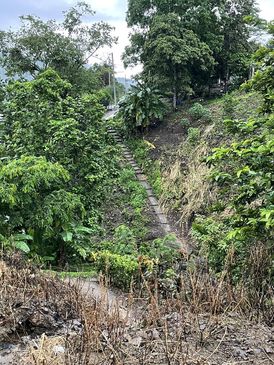 harmodito's tweet photo. Sí, hoy llovió durísimo, y sí, también caminamos!!! Con las zapatillas llenas de lodo, visitamos a los @panamenistas del Valle de San Francisco en el corregimiento de Ancón.
MUCHAS necesidades pero también MUCHA gente noble con ganas de progresar! 
🗳️ El 23 de julio VOTA 2✅✌️ https://t.co/QbHW828w4G