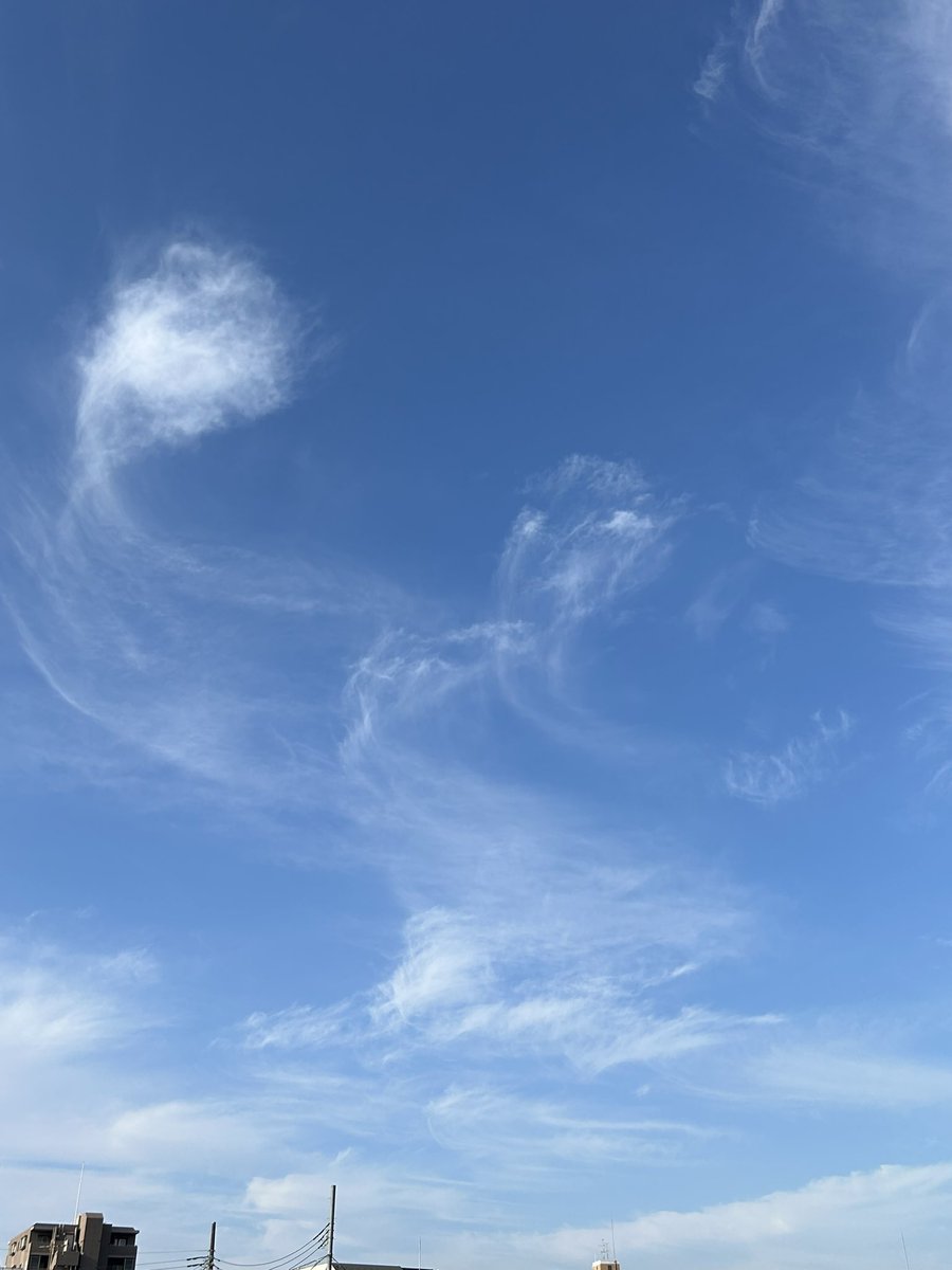 Nobuko0616's tweet photo. 朝から楽しい空ねー💕🥰💕

#空を見上げるのが好き
#賑やかな空 https://t.co/C1vFyK309J