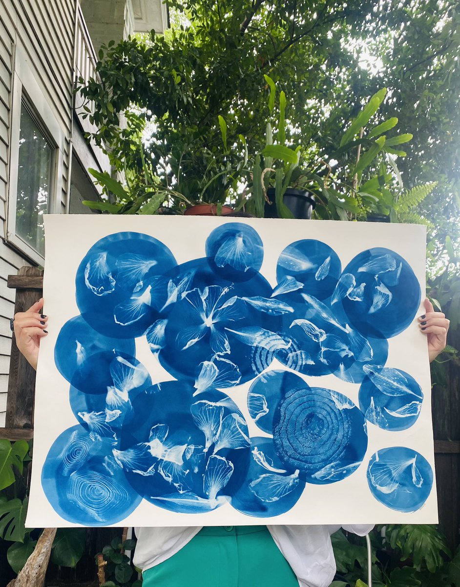 Rosaliasalazarr's tweet image. Absolutely in love with this Prussian blue. I’d like to call this print “hibiscus dream” so thankful for this time of rest and creation. 💙✨

#sunprint #cyanotype #cameralessphotography #alternativephotography
