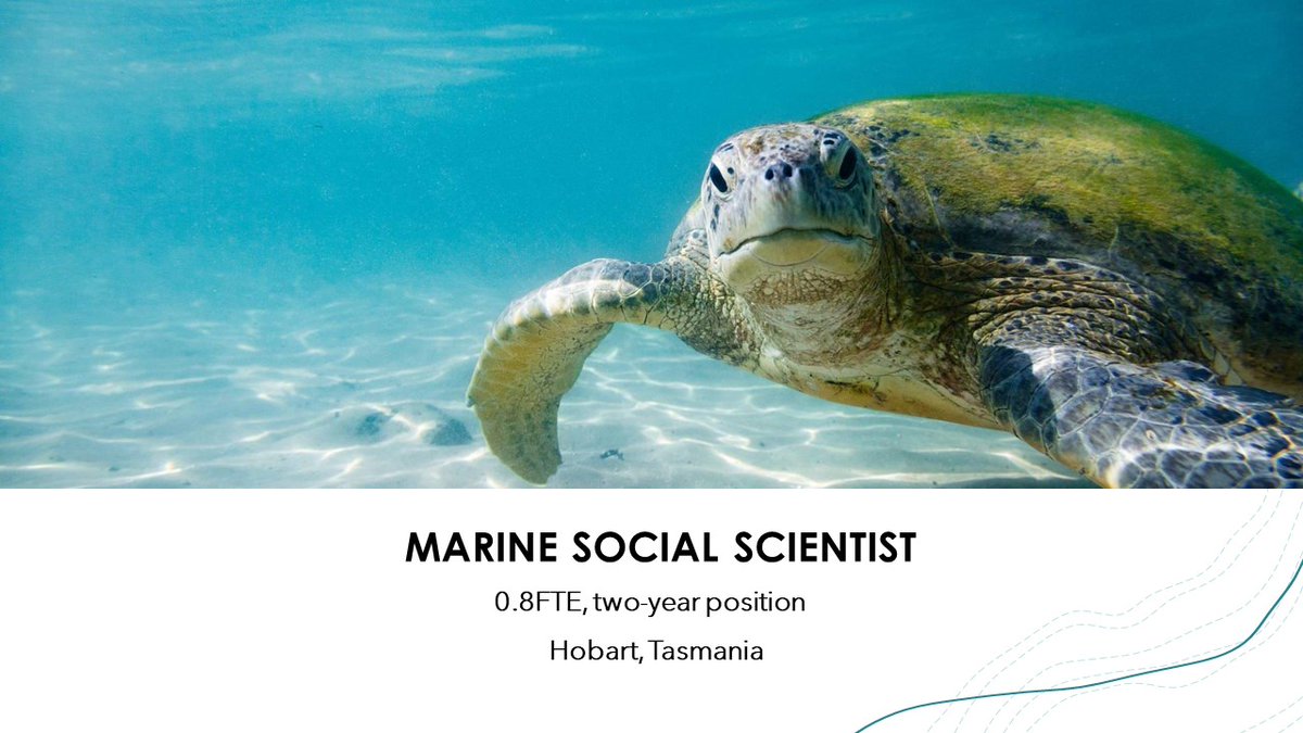 Job Alert: We're after a level A or B #marine #social #scientist to join our team & work on the #GreatSouthernReef!

0.8FTE two-year position working with @CMS_Utas at @UTAS_  & @BehaviourWorksA based at @IMASUTAS in beautiful Hobart. Pls RT!

#MarSocSci

careers.utas.edu.au/ci/en/job/4988…