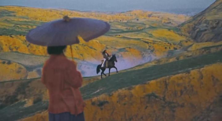 I saw this sentence in the movie: "If you want not to be rejected by others, the best way is to reject others first", and I remembered my cowardice and affection in the past