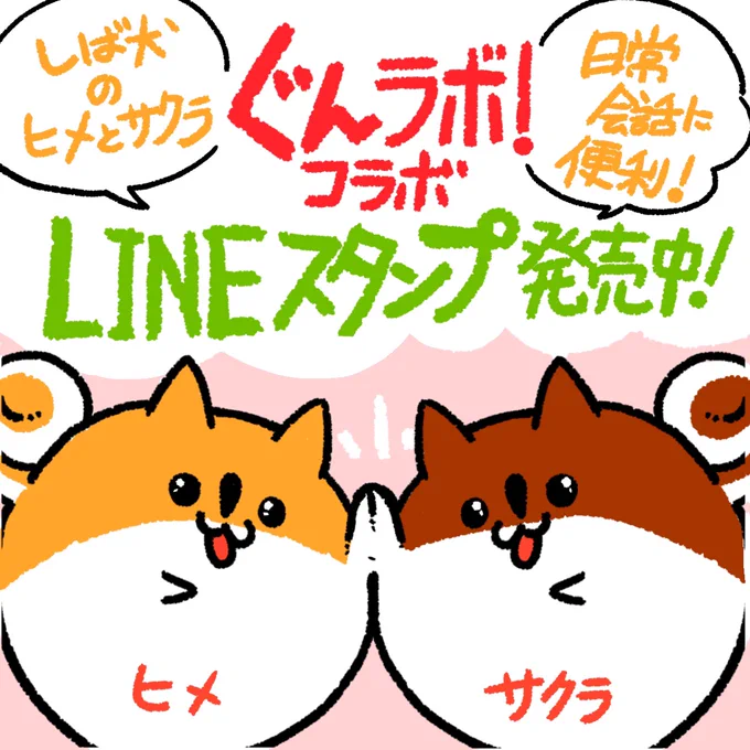 改めまして、ぐんラボ! @gunlabo オリジナルLINEスタンプを描かせて頂きました〜Uo・ェ・oUUo・ェ・oU💕

ワンちゃんの写真投稿コーナー【犬球】からやってきた【ヒメとサクラ】です✨

是非✨いっぱい使ってください🤗
#ぐんラボ! #LINEスタンプ
▼スタンプGETはこちら
https://t.co/H5stMegHDG… 