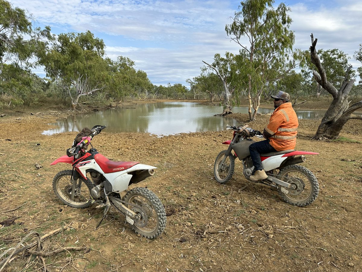 David Correll tweet media